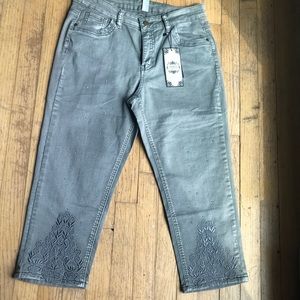 NWT Tempo Paris stretch jean multiple sizes